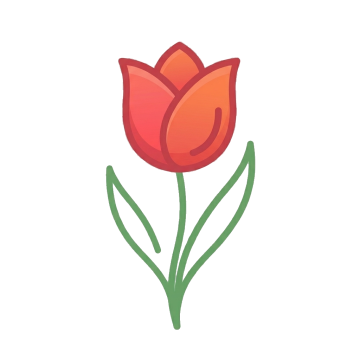 Tulipánhagymák