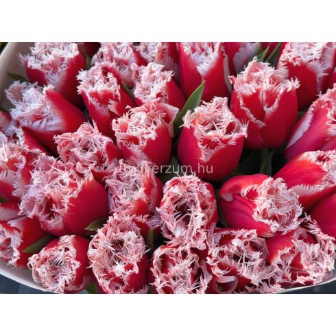 Fringed mixed