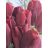 Holland red