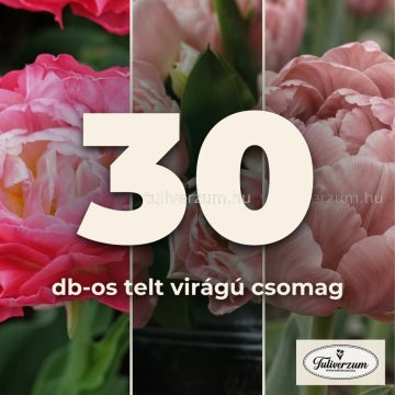 30db-os telt virágú csomag - rózsaszín 3x10
