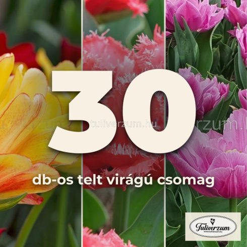 30db-os telt virágú csomag - sárga, piros és lila 3x10