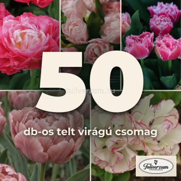 50db-os telt virágú csomag - rózsaszín és fehér 5x10