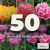 50db-os telt virágú csomag - sárga, piros, lila és rózsaszín 5x10