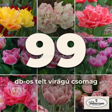 99db-os telt virágú csomag - 9 fajta, minden szín 9x11