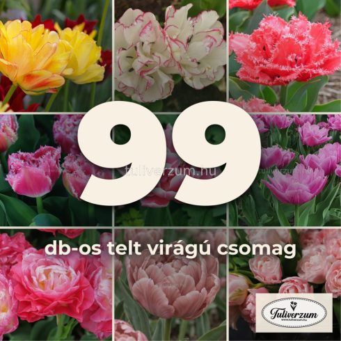 99db-os telt virágú csomag - 9 fajta, minden szín 9x11